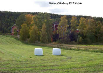 100_0214-m-text.jpg (119163 byte)