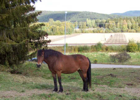 so100_0187.jpg (118379 byte)